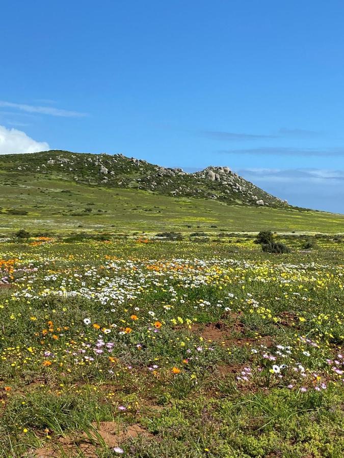 Studio On Fairway Daire Langebaan Dış mekan fotoğraf