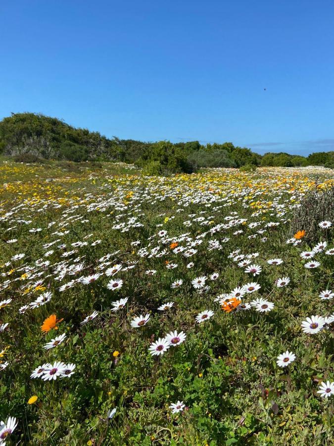 Studio On Fairway Daire Langebaan Dış mekan fotoğraf